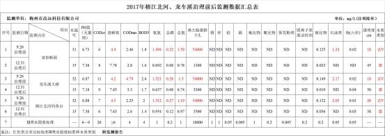 拯救母亲河－奔流江河的水质治理、修复、监测和评价体系初探