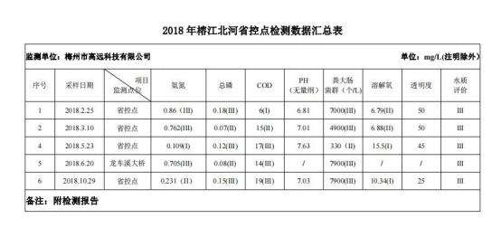 拯救母亲河－奔流江河的水质治理、修复、监测和评价体系初探