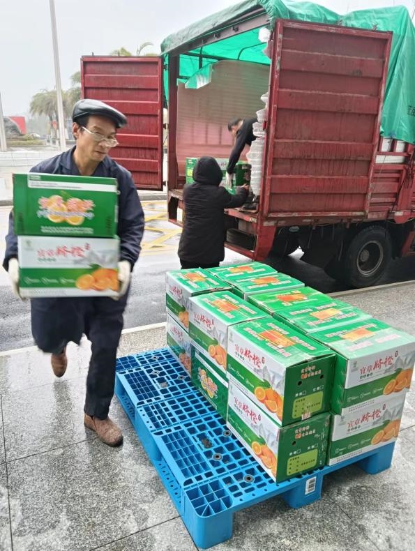 郴州卷烟厂助力乡村振兴脐橙销售突破1.5万公斤，消费帮扶成效显著